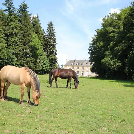 Chateau Elegant Avec Grand Parc, Animaux, Cheminee, Jeux, Et Confort Dans Le Perche - Fr-1-497-102 * Bellavilliers