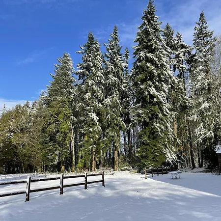 Chateau Elegant Avec Grand Parc, Animaux, Cheminee, Jeux, Et Confort Dans Le Perche - Fr-1-497-102 Holiday home Bellavilliers