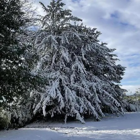 Vivez Le Charme Du Chateau Avec Wifi A - Fr-1-497-102 *