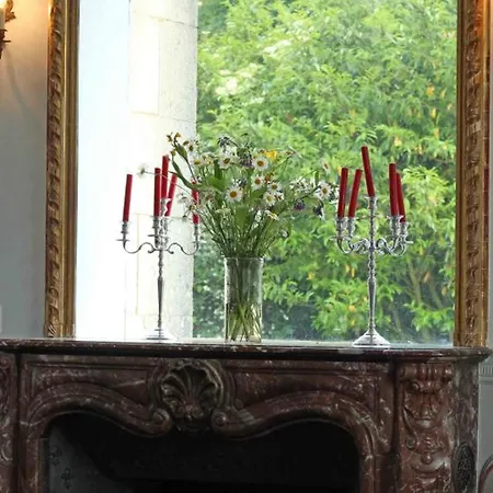 Holiday home Chateau Elegant Avec Grand Parc, Animaux, Cheminee, Jeux, Et Confort Dans Le Perche - Fr-1-497-102 Bellavilliers