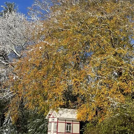 Chateau Elegant Avec Grand Parc, Animaux, Cheminee, Jeux, Et Confort Dans Le Perche - Fr-1-497-102