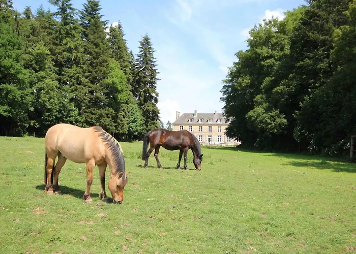Vivez Le Charme Du Château Avec Wifi à - Fr-1-497-102 * Bellavilliers