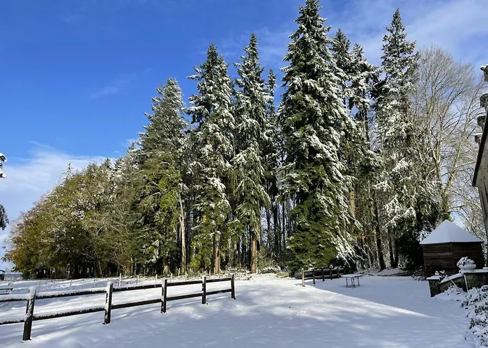 Vivez Le Charme Du Château Avec Wifi à - Fr-1-497-102 Hébergement de vacances Bellavilliers