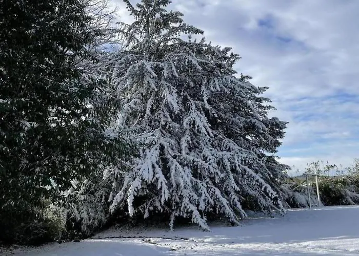 Vivez Le Charme Du Château Avec Wifi à - Fr-1-497-102 *