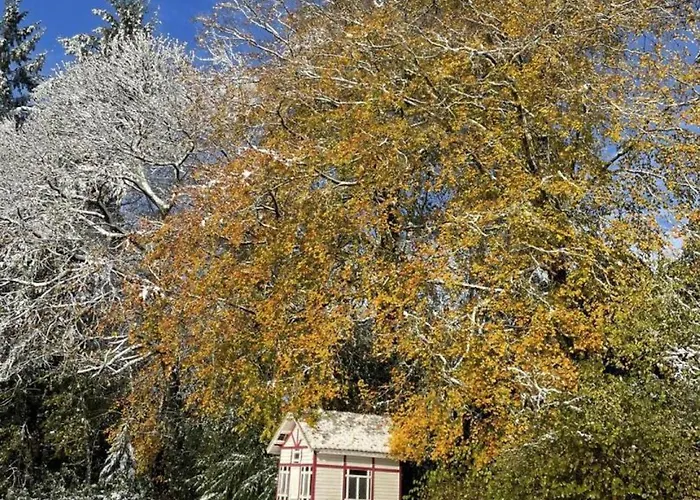 Vivez Le Charme Du Château Avec Wifi à - Fr-1-497-102 * Bellavilliers